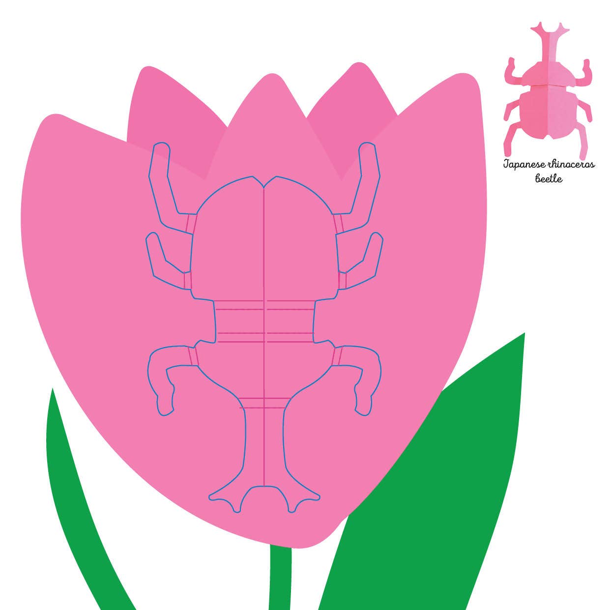 Insects: Fold and Play