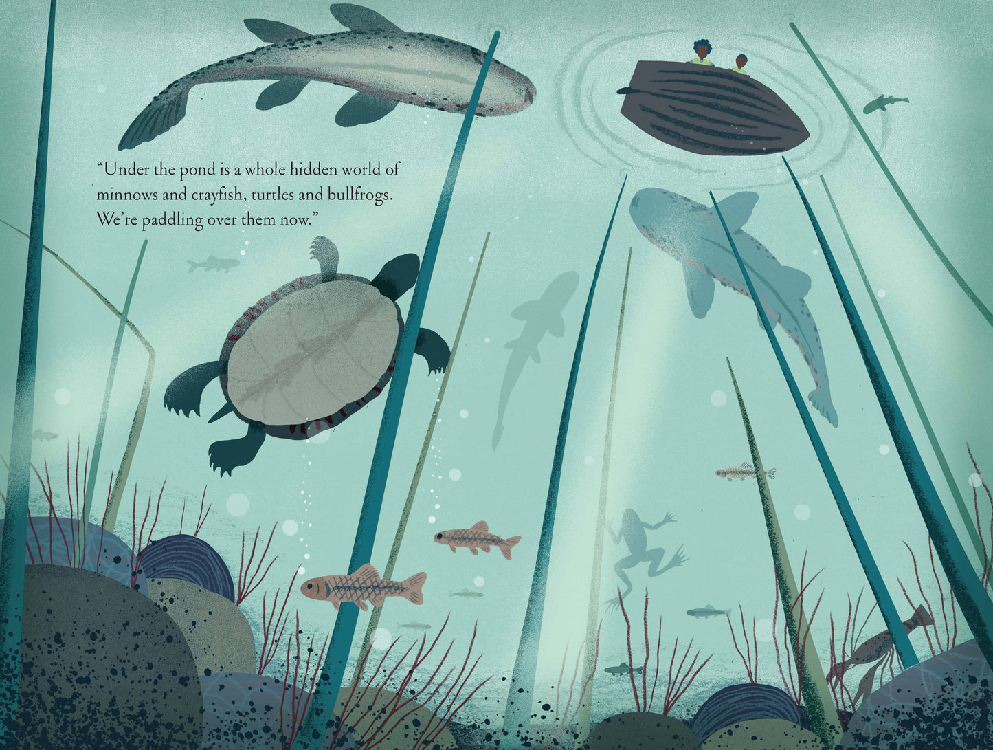 Over and Under the Pond