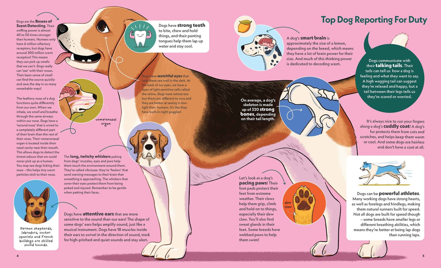 Dogs with Jobs