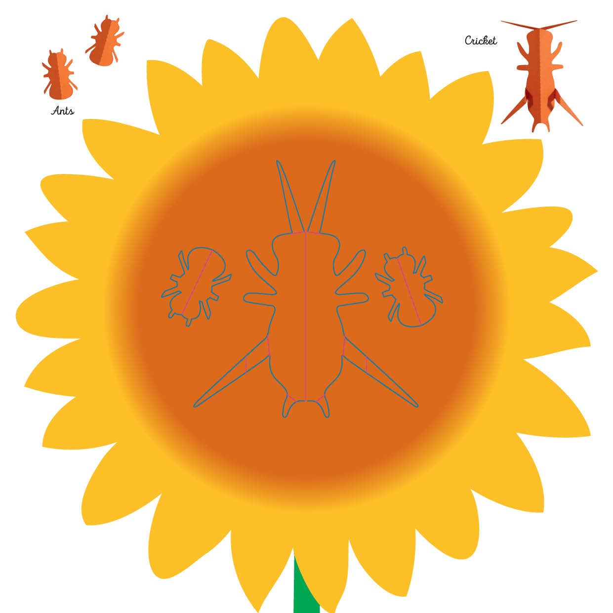 Insects: Fold and Play