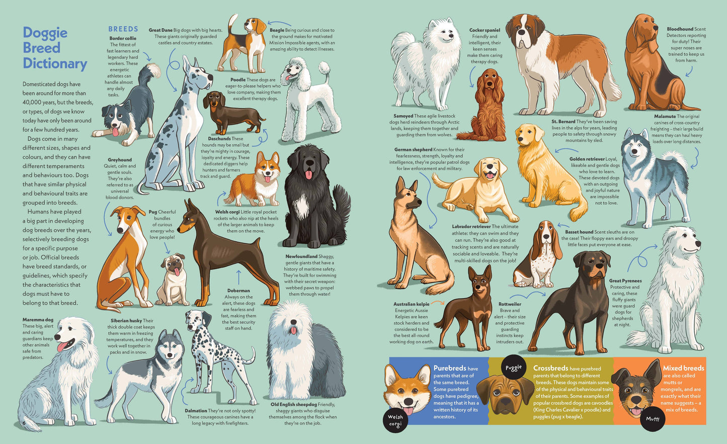 Dogs with Jobs