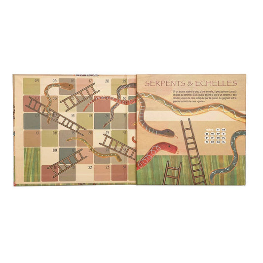 Magnetic Activity Game - Snakes & Ladders